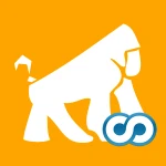 storelogog.fw